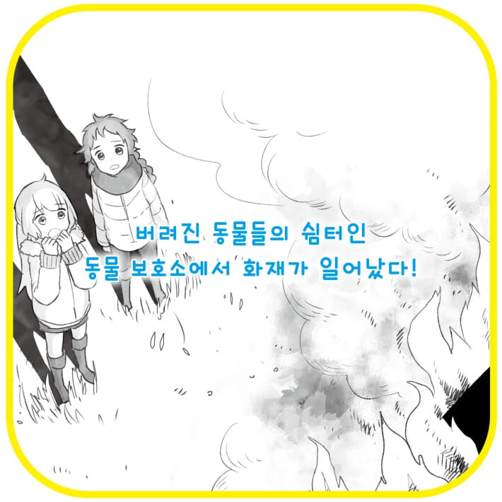 카드뉴스3