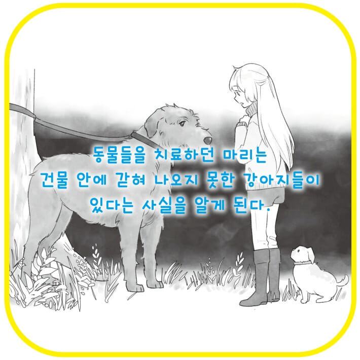 카드뉴스4