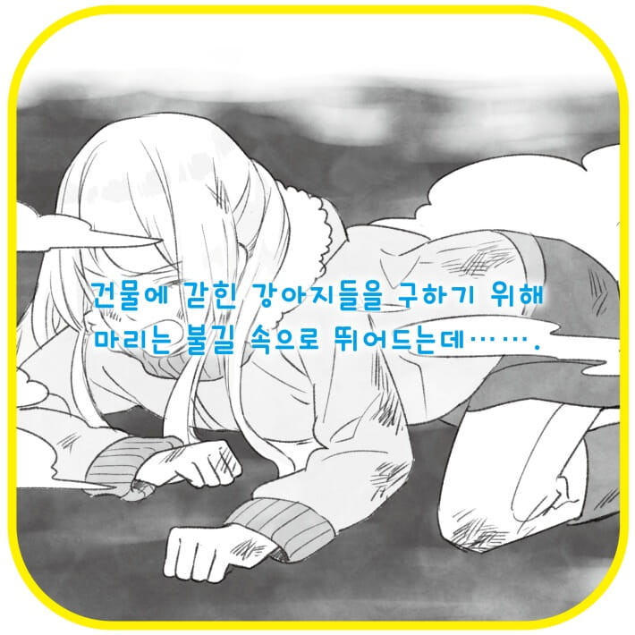 카드뉴스5