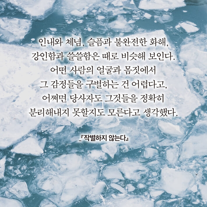 카드뉴스8