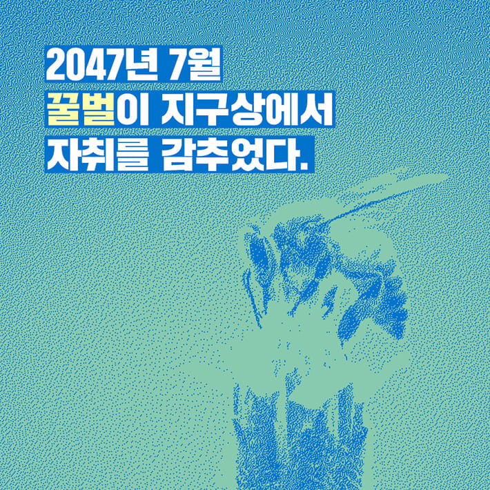 카드뉴스0