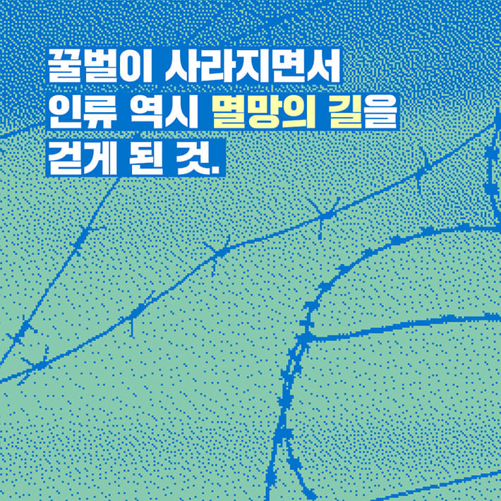 카드뉴스2
