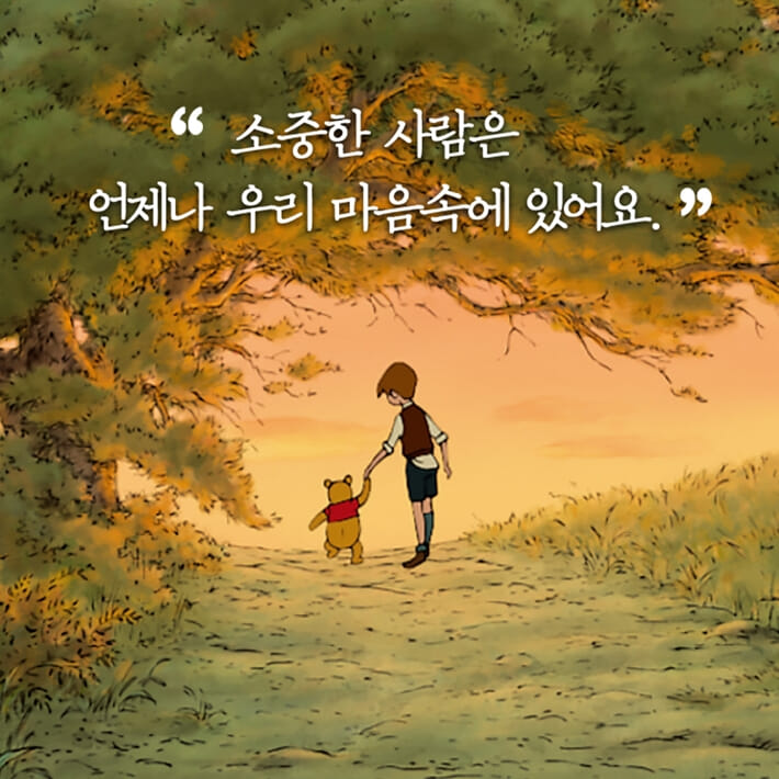 카드뉴스6