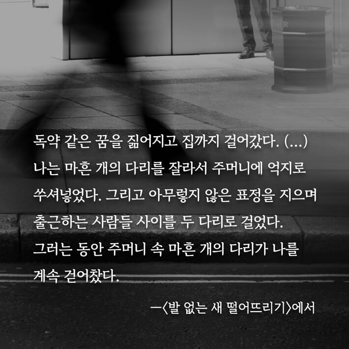 카드뉴스5