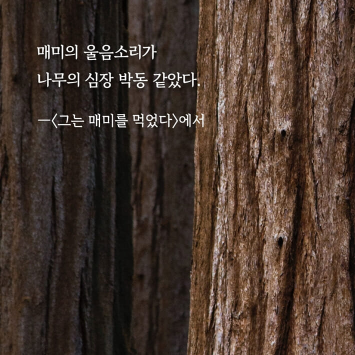 카드뉴스6