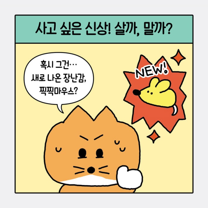 카드뉴스1