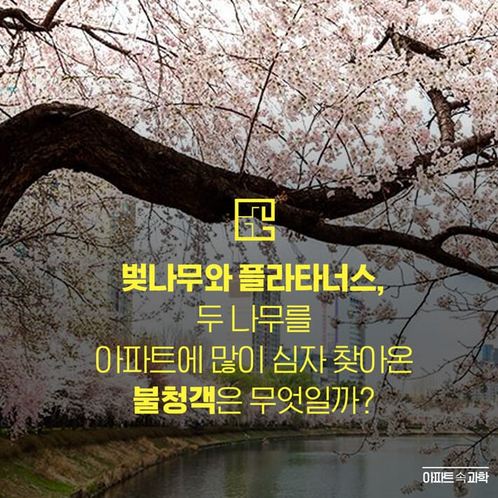 카드뉴스7