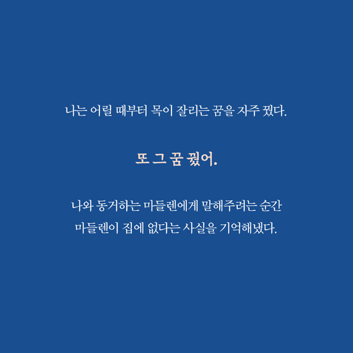 카드뉴스1