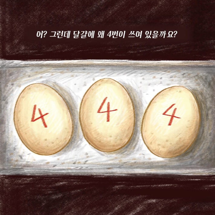 카드뉴스5