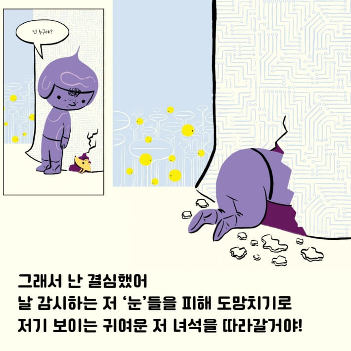 카드뉴스4