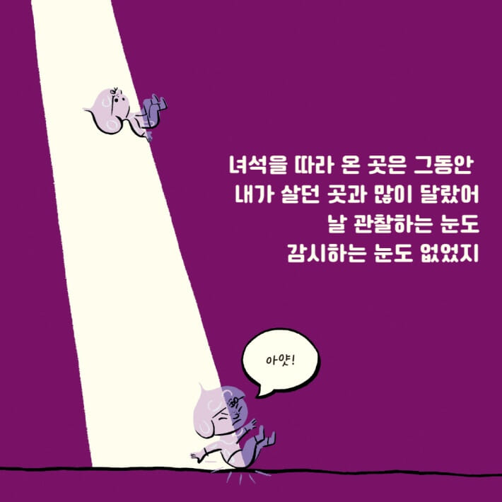 카드뉴스5