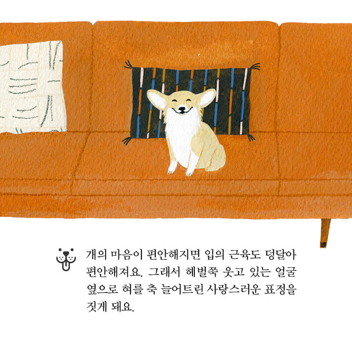 카드뉴스2