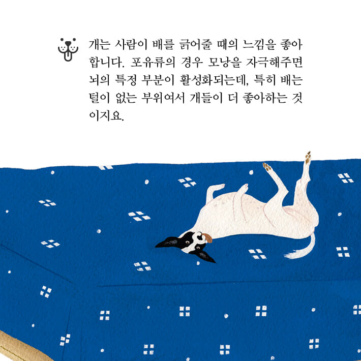 카드뉴스3
