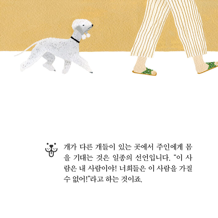 카드뉴스5