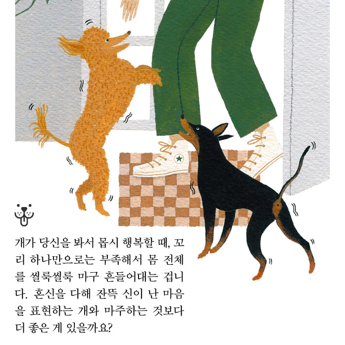 카드뉴스6