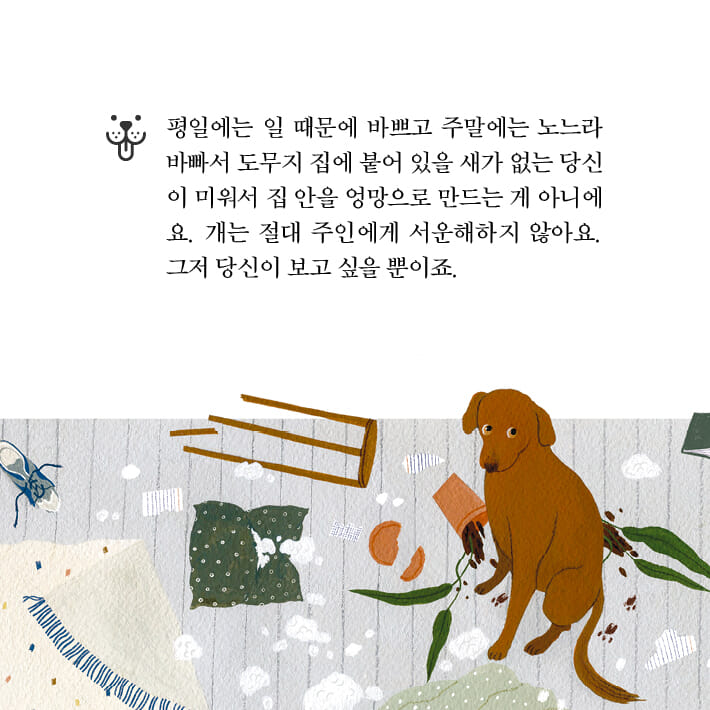 카드뉴스7