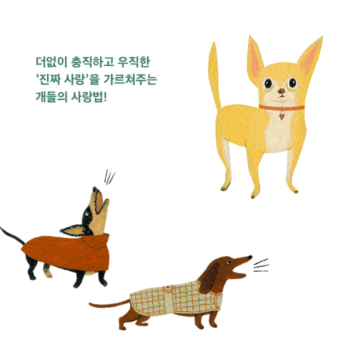 카드뉴스8