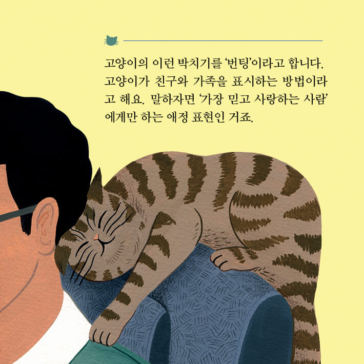 카드뉴스2
