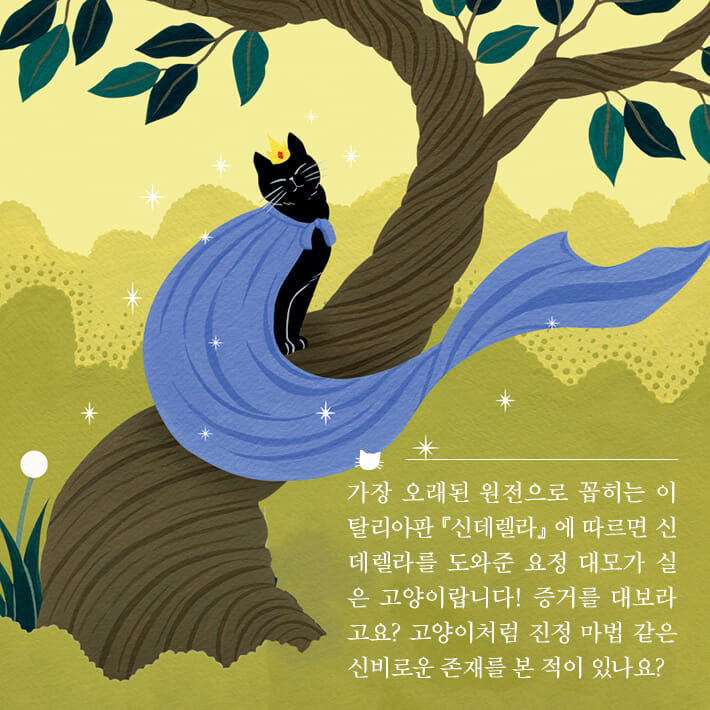 카드뉴스3