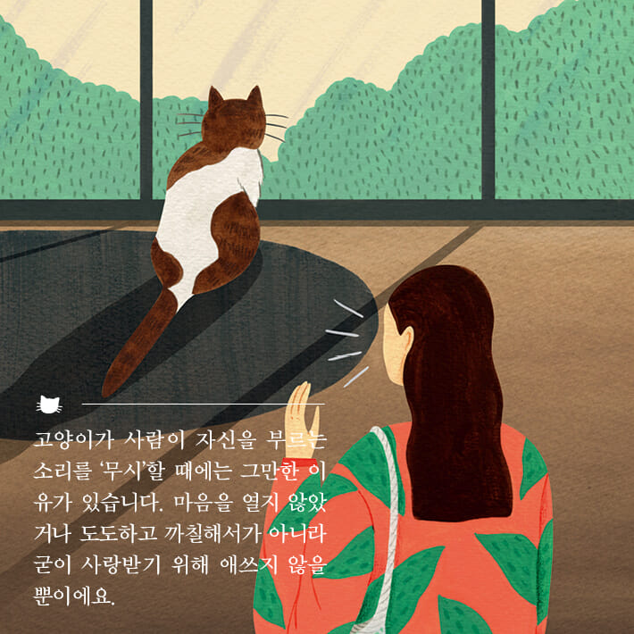 카드뉴스4