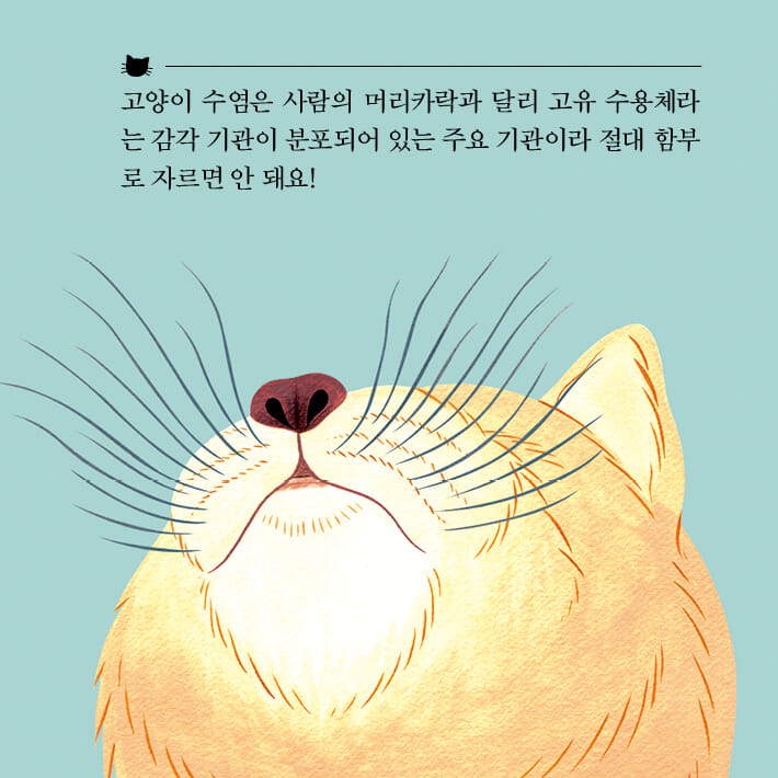 카드뉴스5