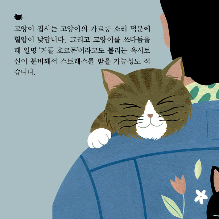 카드뉴스6