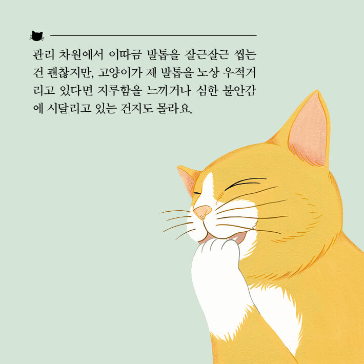 카드뉴스7