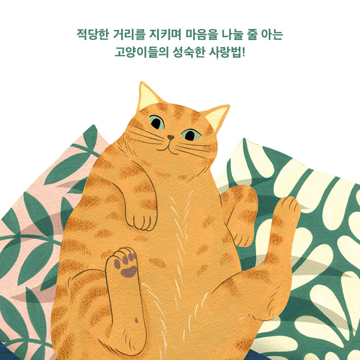 카드뉴스8