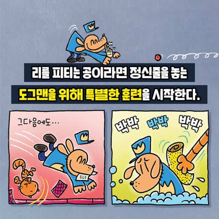 카드뉴스2