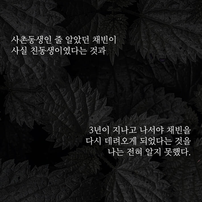 카드뉴스1