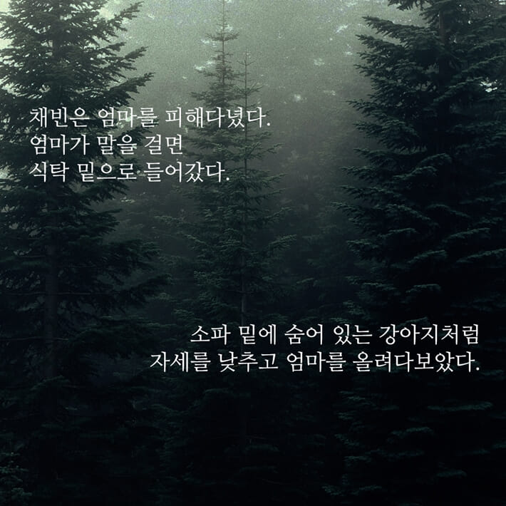 카드뉴스2
