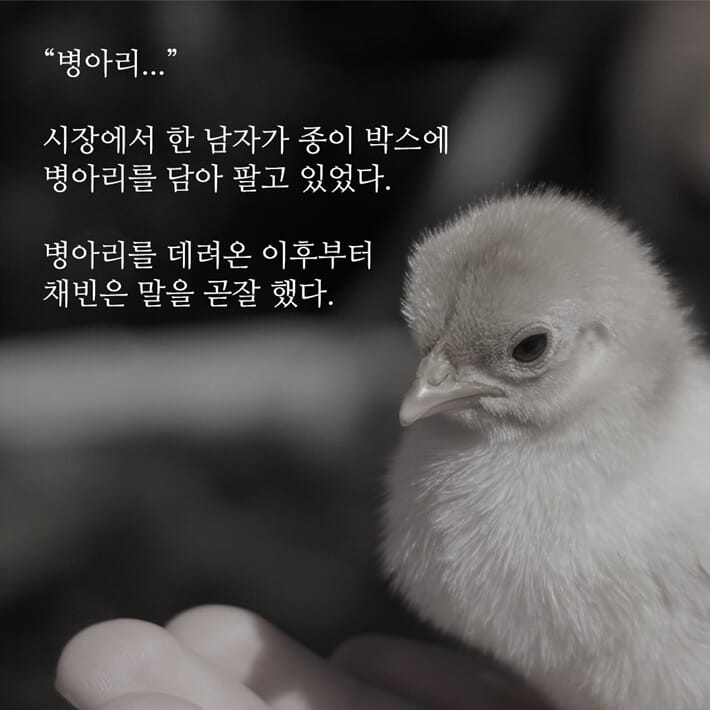 카드뉴스3