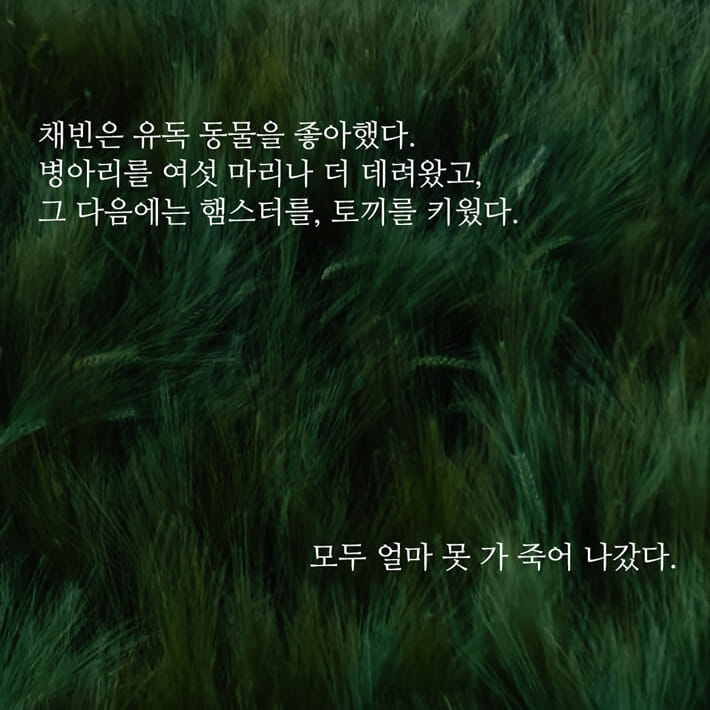 카드뉴스4