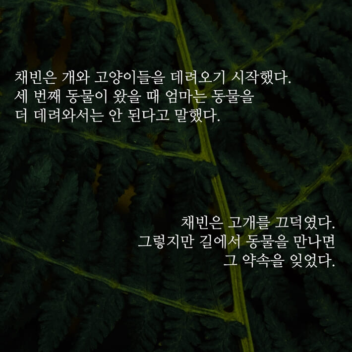 카드뉴스5