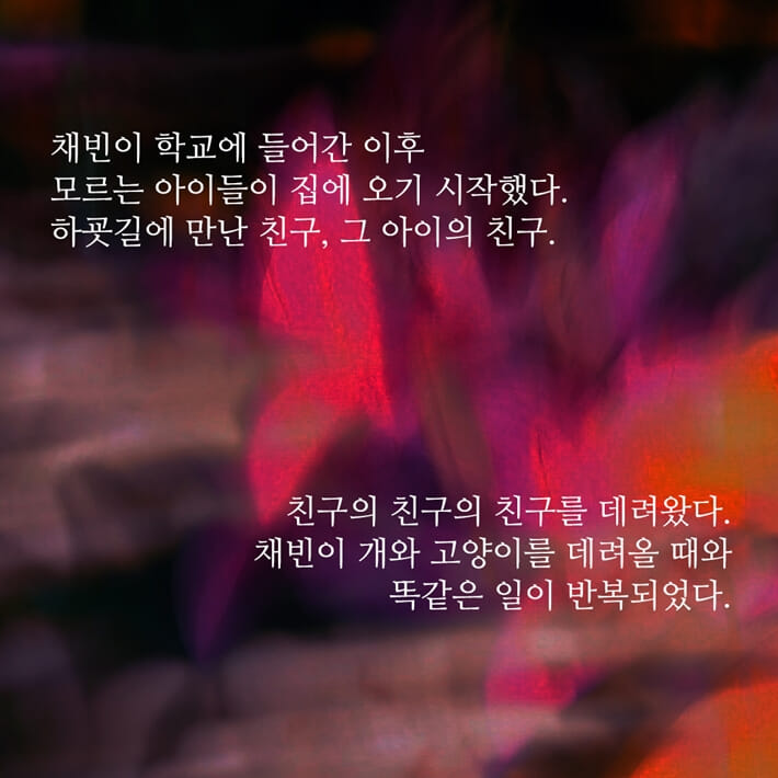 카드뉴스6