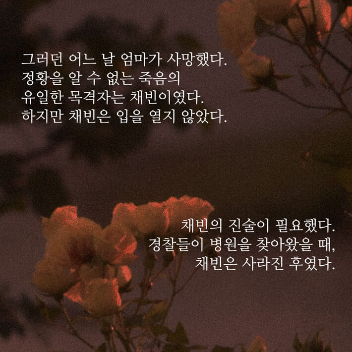 카드뉴스7