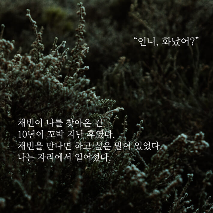 카드뉴스8