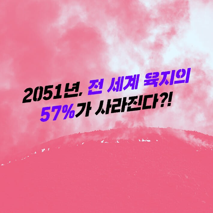 카드뉴스0