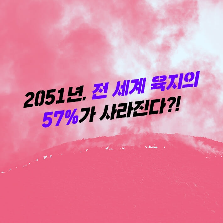 카드뉴스0
