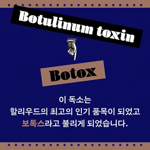 카드뉴스6