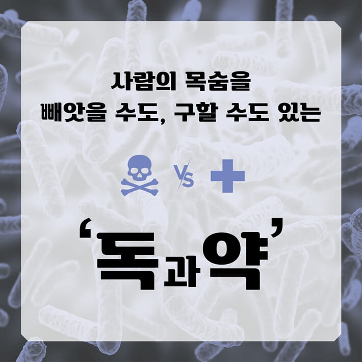 카드뉴스0