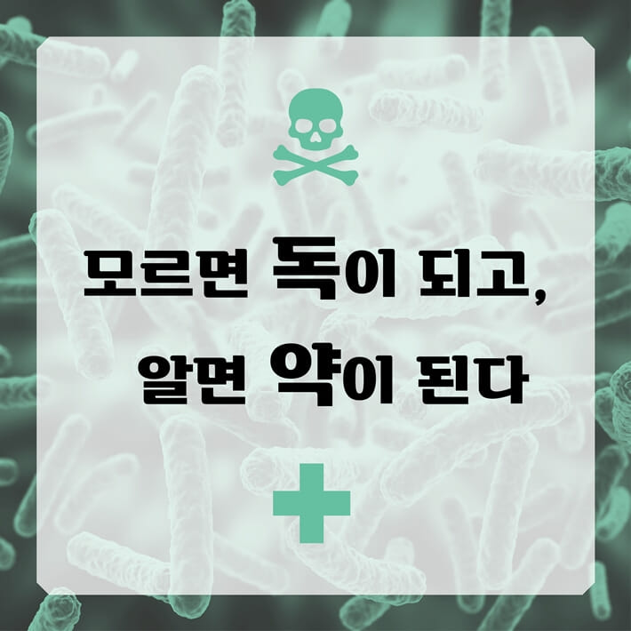 카드뉴스1