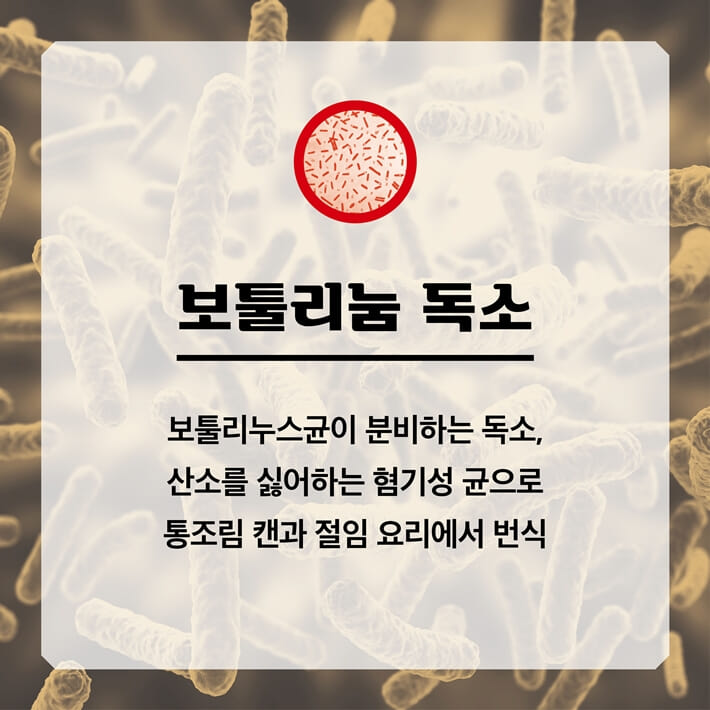 카드뉴스2