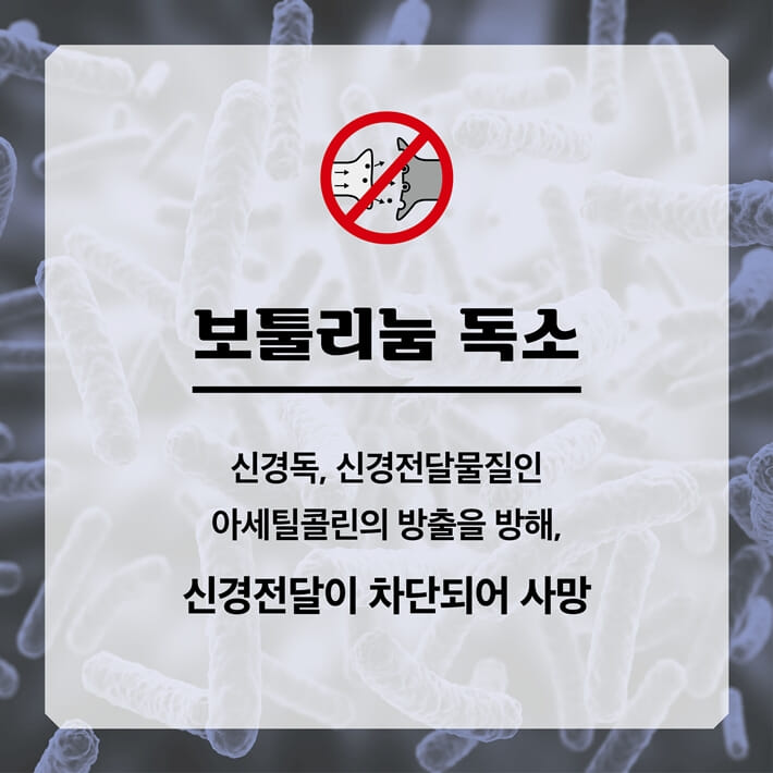 카드뉴스4
