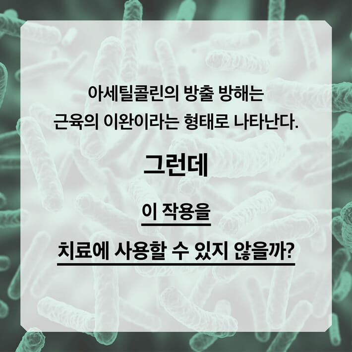 카드뉴스5
