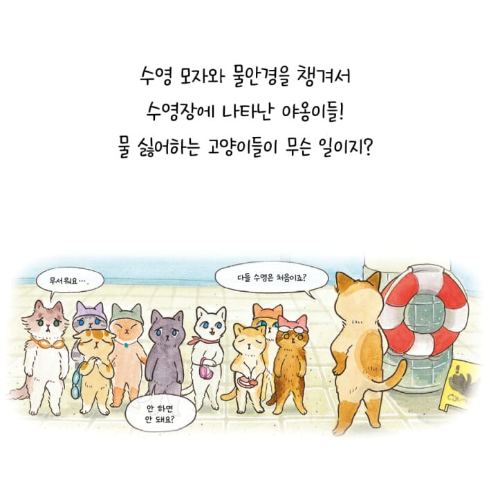 카드뉴스0