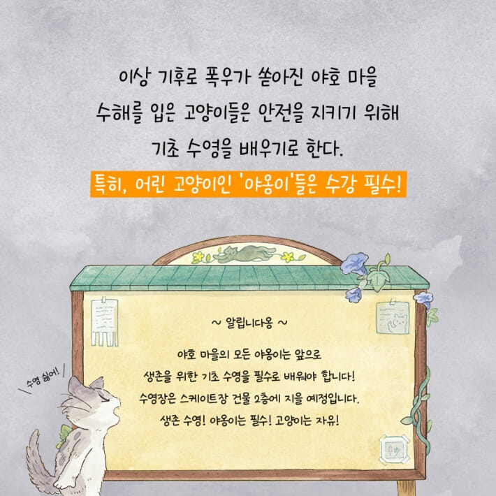 카드뉴스1
