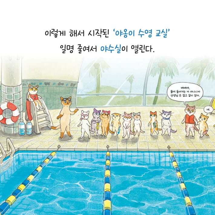 카드뉴스2