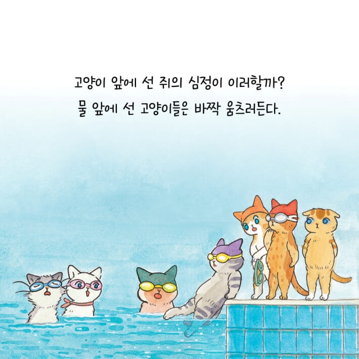 카드뉴스3