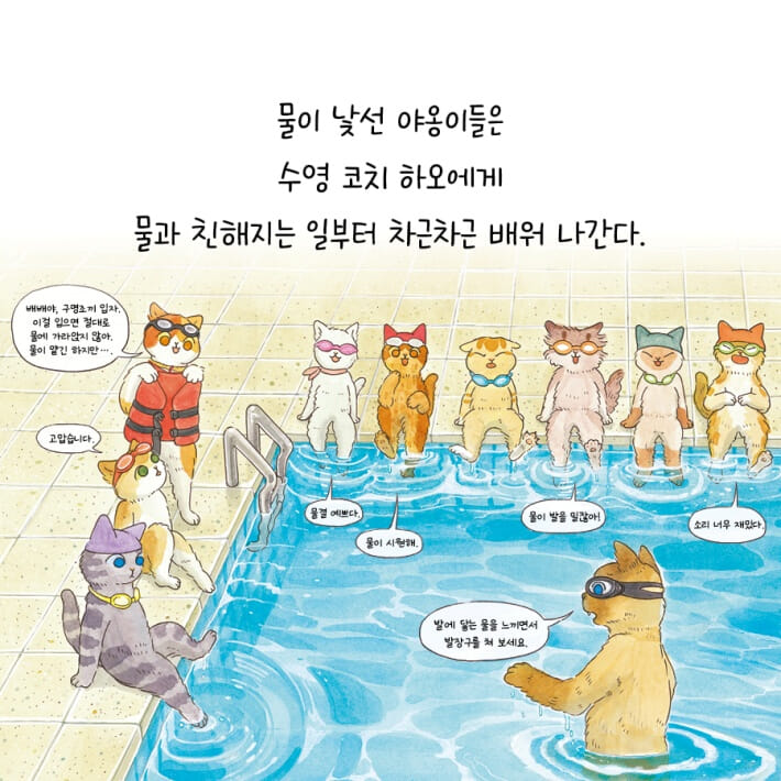 카드뉴스4
